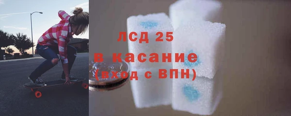 сатива Армянск