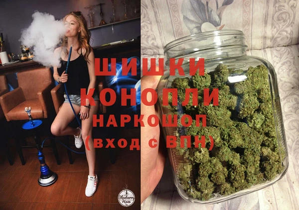 сатива Армянск