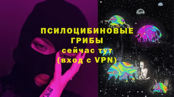сатива Армянск